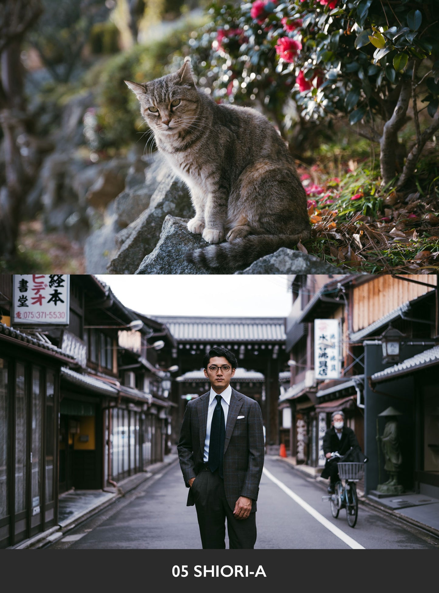 USETSU presets by TAKASHI YASUI