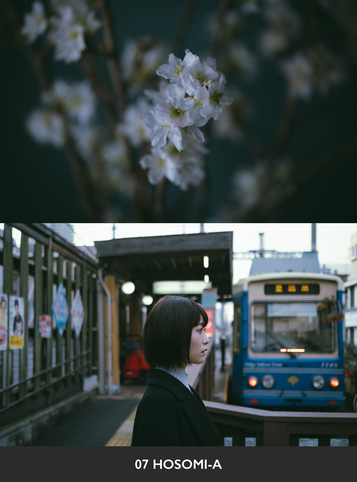 USETSU presets by TAKASHI YASUI