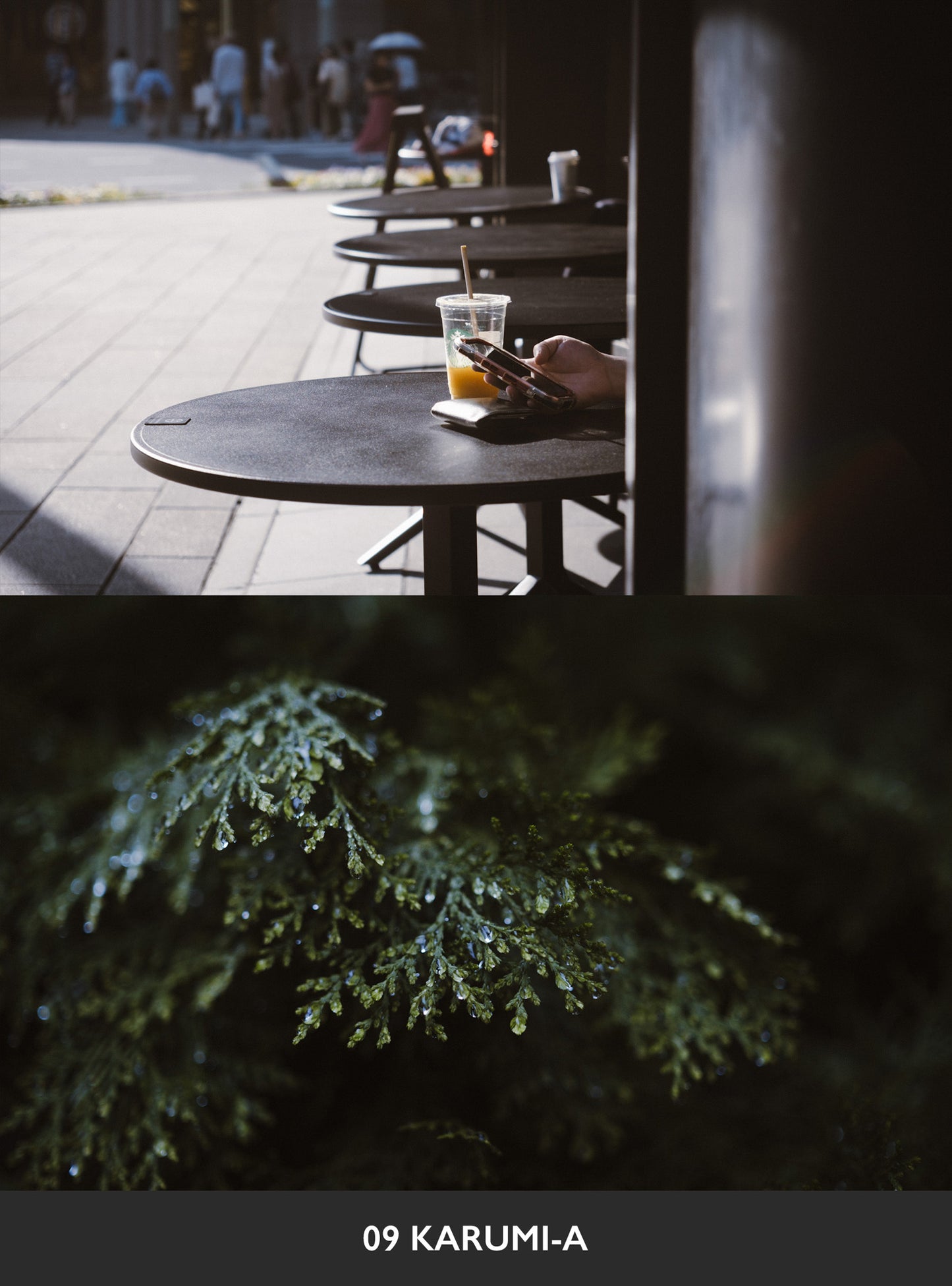 USETSU presets by TAKASHI YASUI