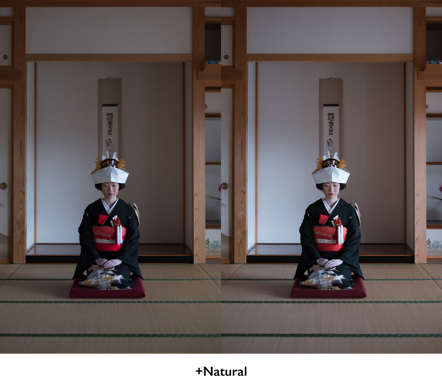 USETSU presets by TAKASHI YASUI