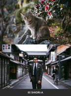 USETSU presets by TAKASHI YASUI